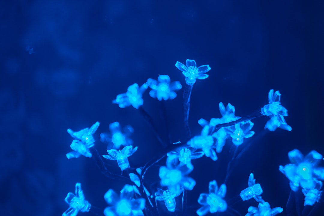 The Cold Fire in the Deep