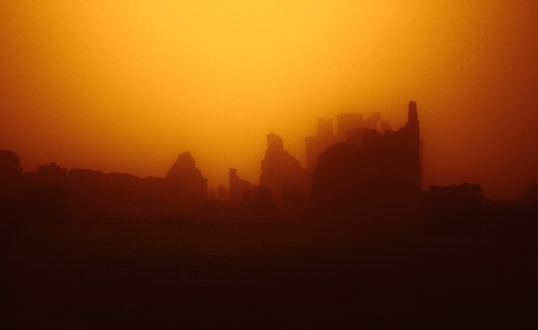 The Year the Sun Went Pale